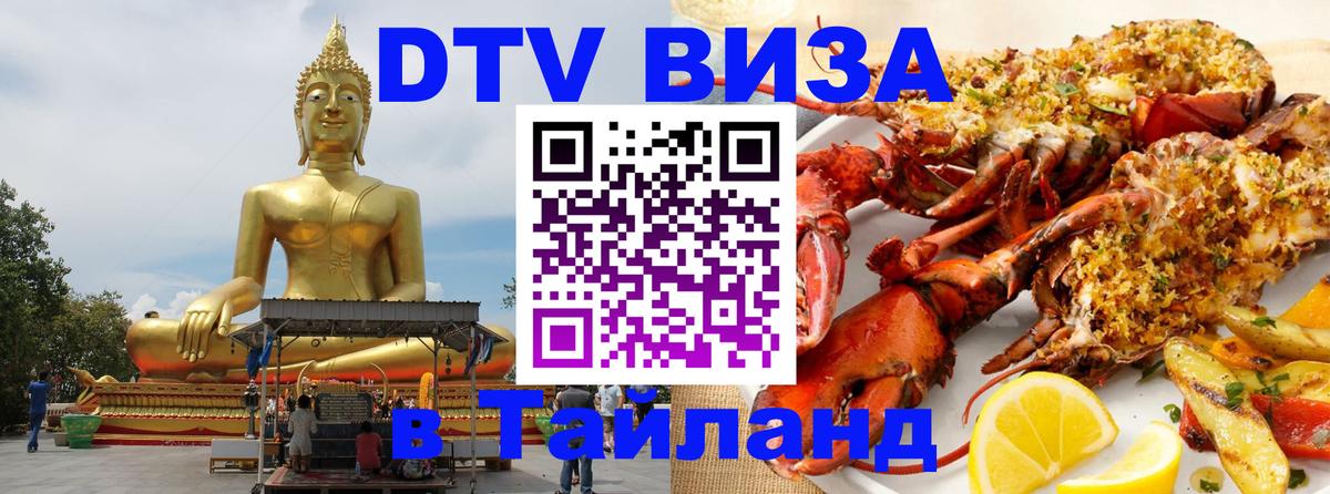 Сколько стоит DTV виза — актуальные цены, оформление даже без документов - 10.01.2026 